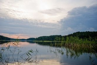 Пологие заболоченные берега можно наблюд