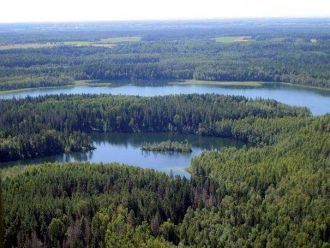 Животный мир озера достаточно разнообраз