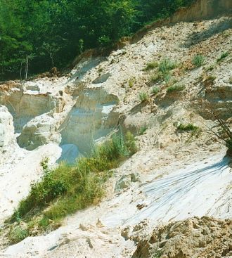 Древнейшие отложения заповедника.