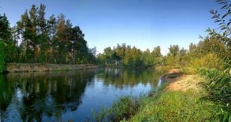 Постановлением Совета Министров СССР от 