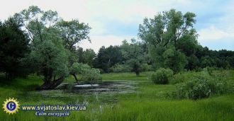 Каневский природный заповедник - один из