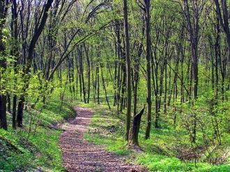 За последние 83 года площадь заповедника