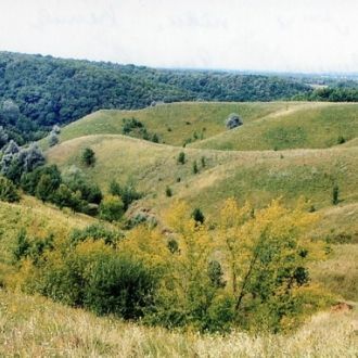 В заповеднике работают 72 человека, из н