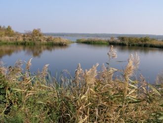При позднейших раскопках на территории н