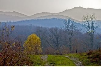 На его территории обитает более 200 видо