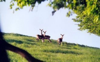 Его площадь расширилась до 23 тысяч га, 