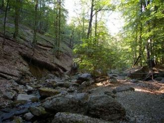 В Центральной котловине, у целебного ист