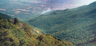 Теперь Крымское государственное заповедн