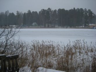 В связи с этим и степень зарастания водн