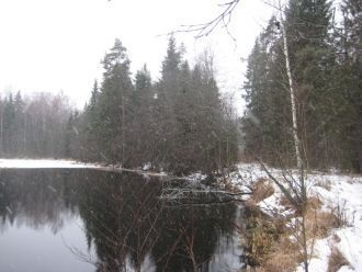  Можно представить каким он был в и