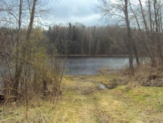 На юго-западе в озеро впадает один ручей