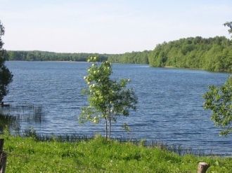 Озеро имеет вытянутую с юга на север фор