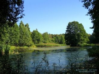 Оно является наибольшим по глубине среди