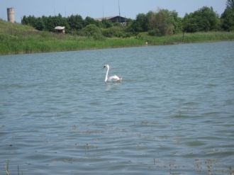 Приток воды происходит по небольшой прот