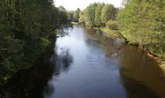 По наличию в озере определенных видов ры