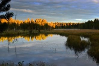 Озеро Замошье