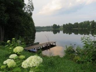 Берега озера Замошье заросли кустарником