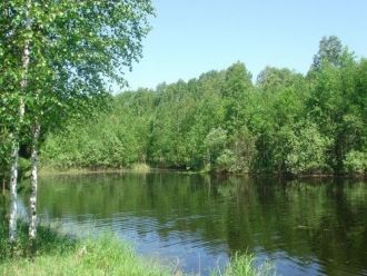 В части озера над этой выпуклой частью о
