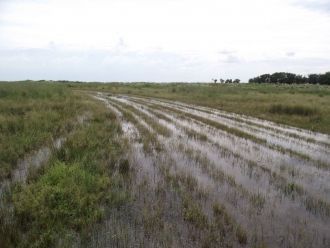 По всей длине река движется с севера на 