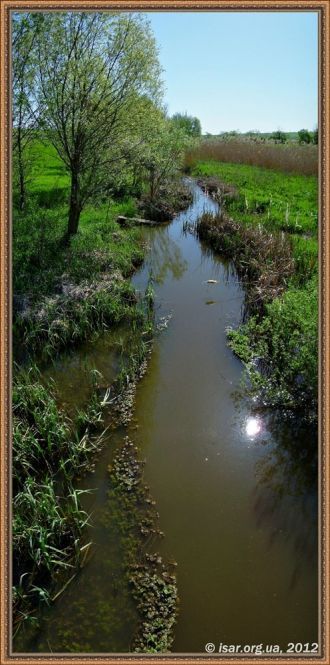 Среднее течение реки Берда.
