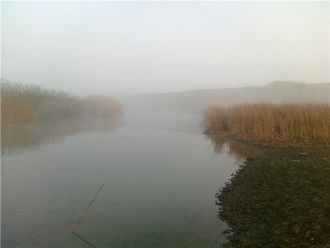 Течёт по территории Старобешевского, Тел