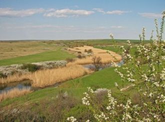 Вид с правого берега реки Грузской Еланч