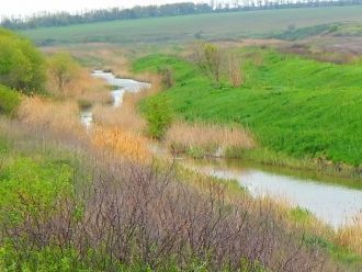 Река протекает на Приазовской степи. Рус