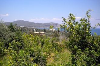 Особенно весной и летом – запах здесь пр