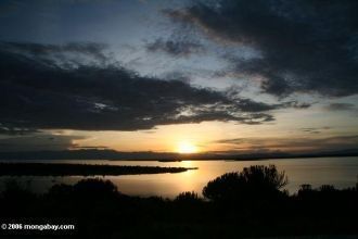 Озеро Эдуард на фоне заката.