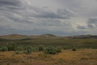 Территория пустыни Овайхи красивая.