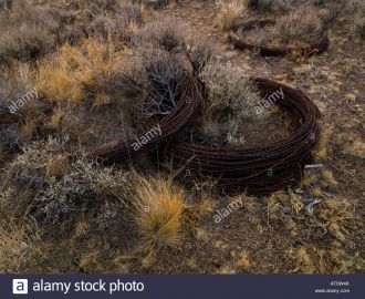 Колючая проволока лежит на земле в пусты