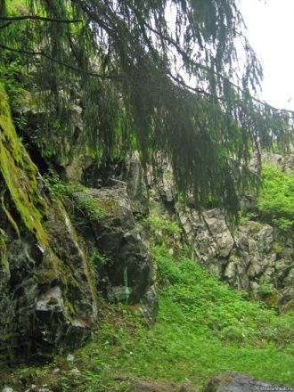 С тех пор здесь неоднократно копали. Пос