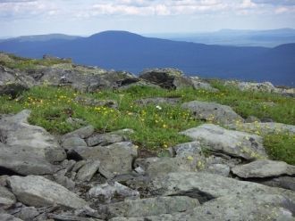 Параллельно главному Уральскому хребту т