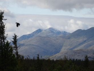 Его площадь составляет 78 192 га. «Денеж