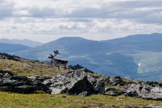По мансийской легенде во времена всемирн