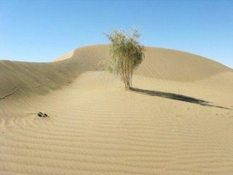 Заунгузская часть Туркменского песчаного