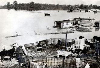 В 1927 году наводнение реки Миссисипи за