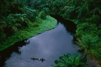 Конго – река с устьем по типу эстуария. 