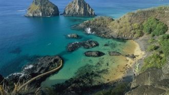 Когда-то весь он был покрыт густыми леса