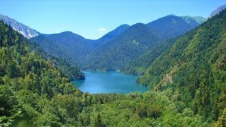 Большая часть Кавказских гор покрыта лес