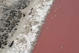 Причём последнего водоросль производит т