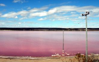 Насыщенность окраски воды зависит от циа