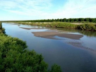 С каждым годом пересыхающих участков на 