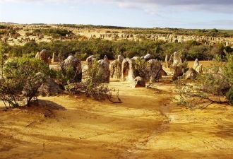 Флора парка включает в себя более 170 по