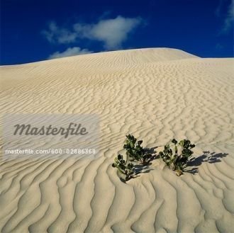 Песчаные дюны Национального парка Намбун