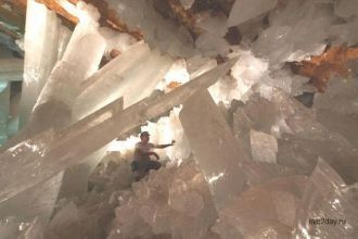 Кристаллами уже заинтересовались биологи