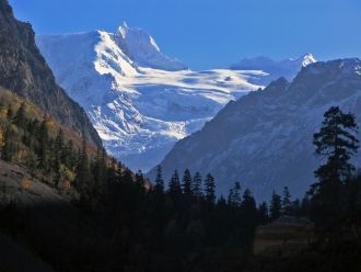 Около 5-6 веков назад в Гималаи пересели