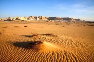 Наиболее известные области Сахары — песч
