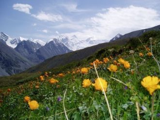 Здесь находится источник и начало велико