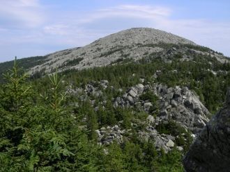 А вот выше от земли, примерно на высоте 